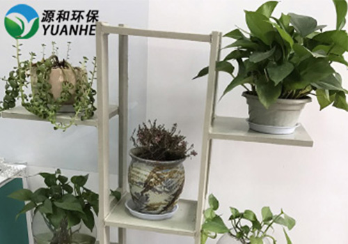 极悦娱乐
