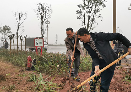 极悦娱乐-1